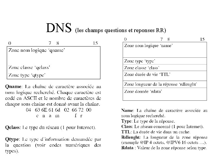 DNS (les champs questions et reponses RR) 