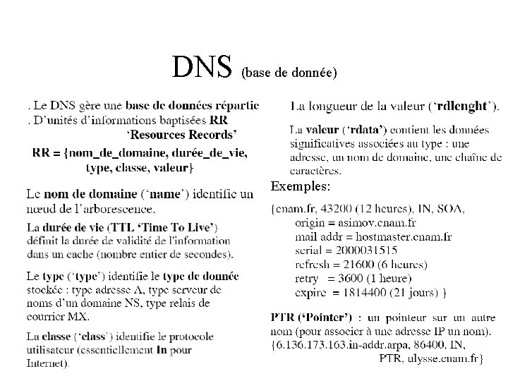 DNS (base de donnée) Exemples: 