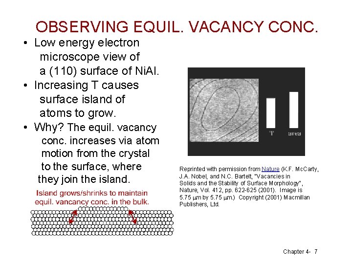 OBSERVING EQUIL. VACANCY CONC. • Low energy electron microscope view of a (110) surface