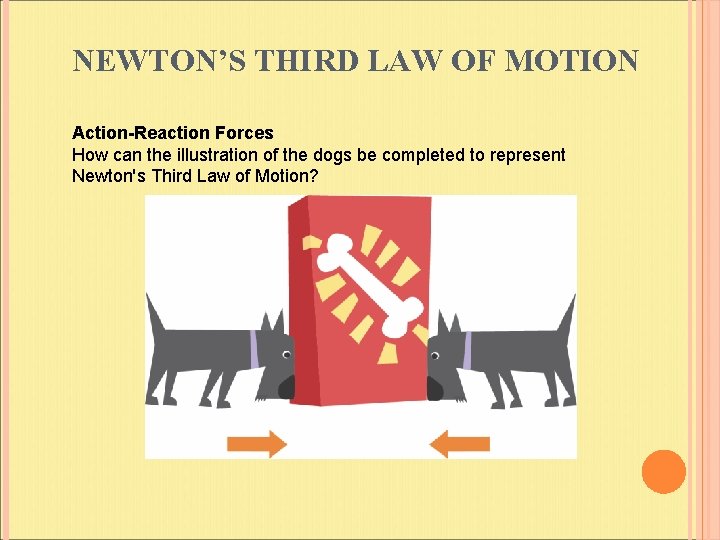 NEWTON’S THIRD LAW OF MOTION Action-Reaction Forces How can the illustration of the dogs