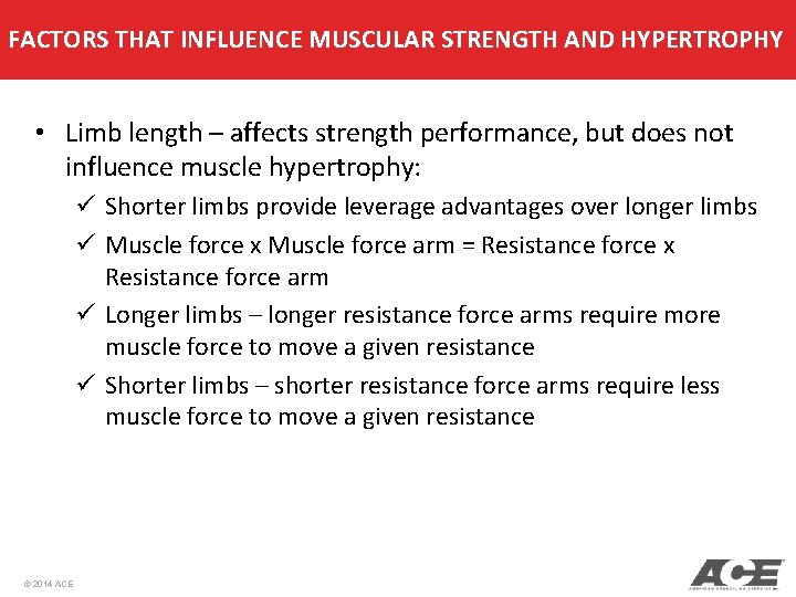 FACTORS THAT INFLUENCE MUSCULAR STRENGTH AND HYPERTROPHY • Limb length – affects strength performance, FACTORS THAT INFLUENCE MUSCULAR STRENGTH AND HYPERTROPHY • Limb length – affects strength performance,