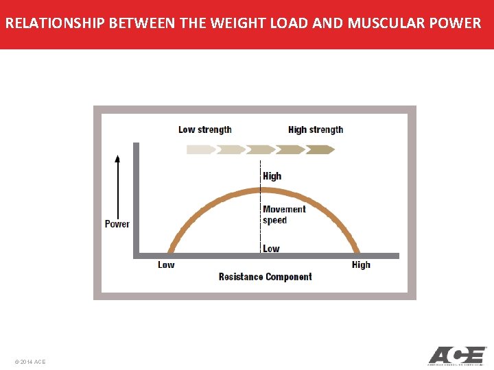 RELATIONSHIP BETWEEN THE WEIGHT LOAD AND MUSCULAR POWER © 2014 ACE RELATIONSHIP BETWEEN THE WEIGHT LOAD AND MUSCULAR POWER © 2014 ACE