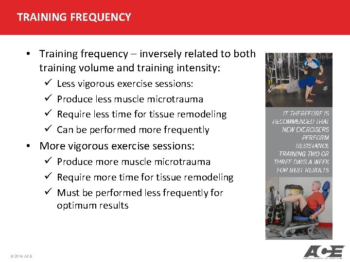 TRAINING FREQUENCY • Training frequency – inversely related to both training volume and training TRAINING FREQUENCY • Training frequency – inversely related to both training volume and training