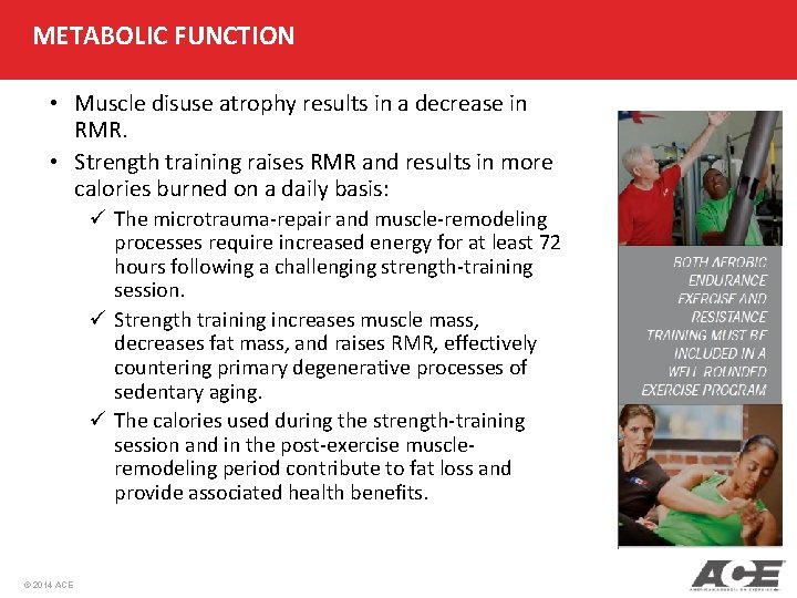 METABOLIC FUNCTION • Muscle disuse atrophy results in a decrease in RMR. • Strength METABOLIC FUNCTION • Muscle disuse atrophy results in a decrease in RMR. • Strength