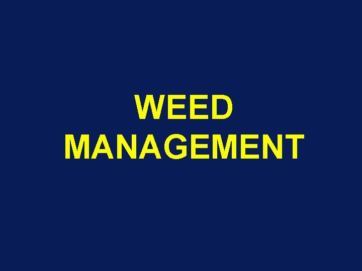 WEED MANAGEMENT 