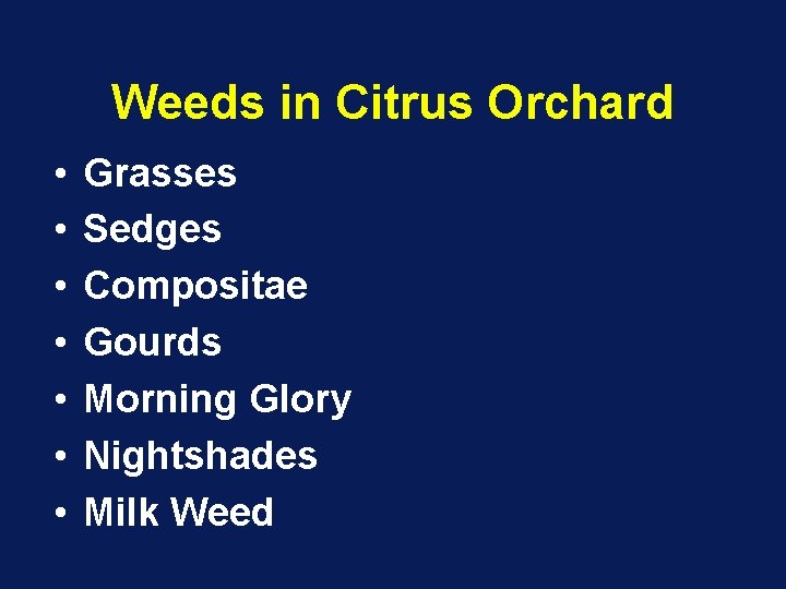 Weeds in Citrus Orchard • • Grasses Sedges Compositae Gourds Morning Glory Nightshades Milk