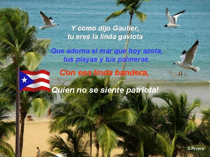 Y como dijo Gautier, tu eres la linda gaviota Que adorna el mar que Y como dijo Gautier, tu eres la linda gaviota Que adorna el mar que