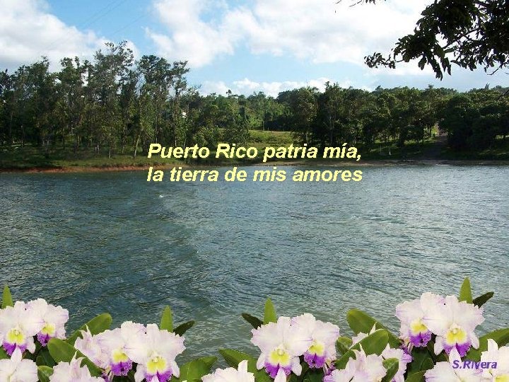 Puerto Rico patria mía, la tierra de mis amores 