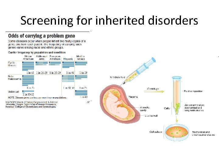 Screening for inherited disorders 