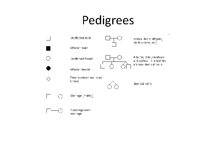 Pedigrees 