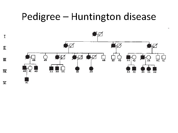 Pedigree – Huntington disease 