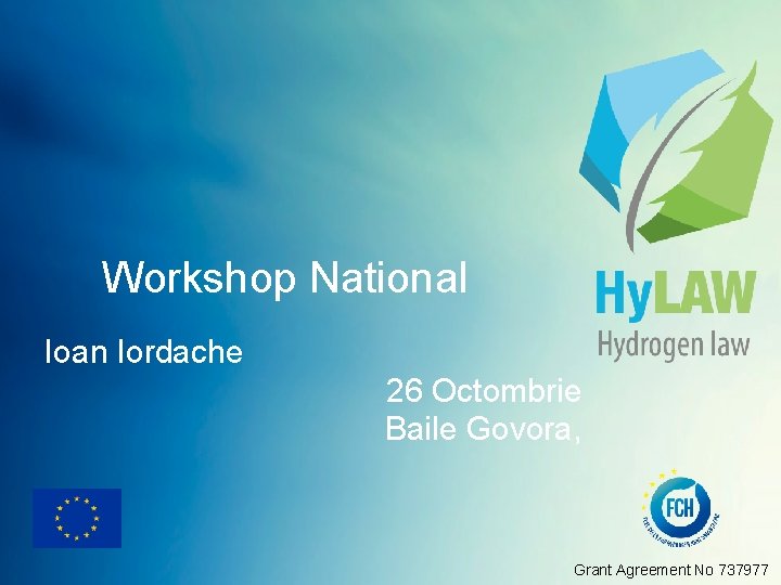 Workshop National Ioan Iordache 26 Octombrie Baile Govora, Grant Agreement No 737977 