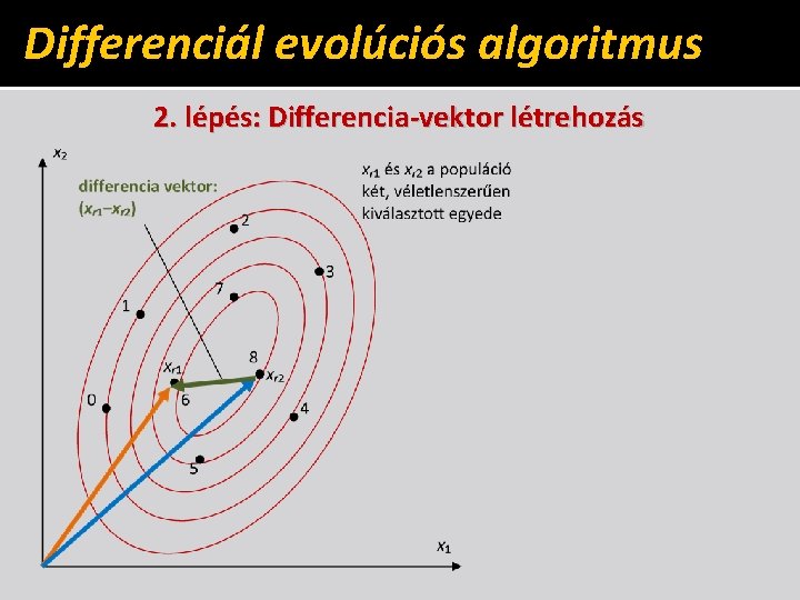 Differenciál evolúciós algoritmus 2. lépés: Differencia-vektor létrehozás 