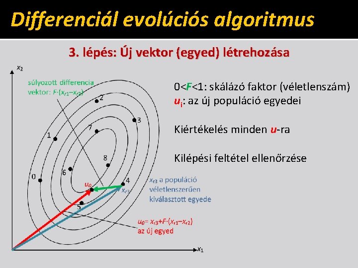 Differenciál evolúciós algoritmus 3. lépés: Új vektor (egyed) létrehozása 0<F<1: skálázó faktor (véletlenszám) ui: