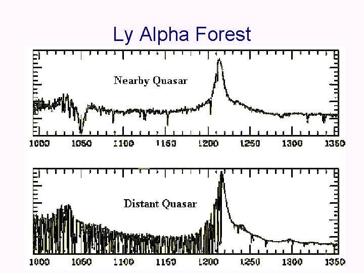 Ly Alpha Forest 