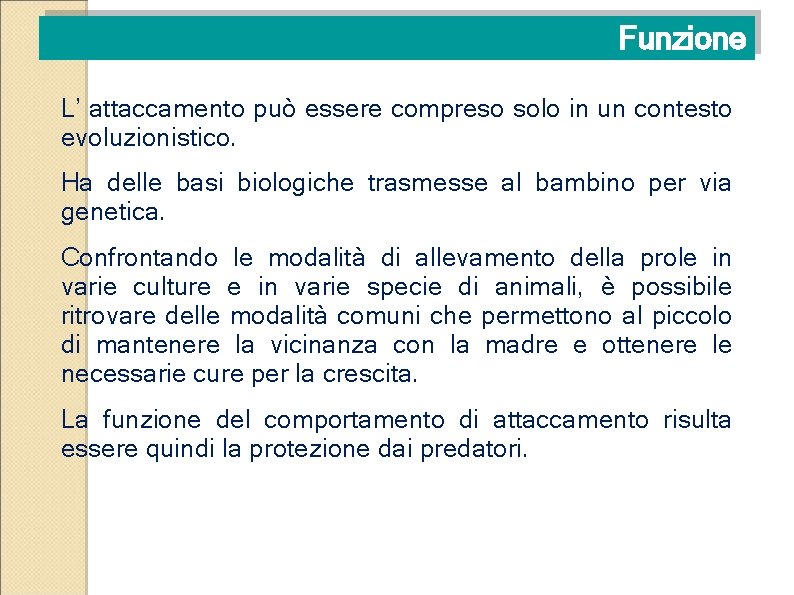 Funzione L’ attaccamento può essere compreso solo in un contesto evoluzionistico. Ha delle basi