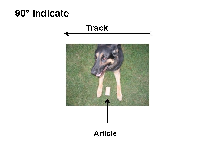 90° indicate Track Article 