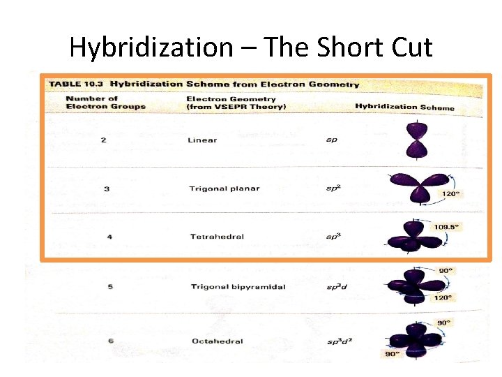 Hybridization – The Short Cut 