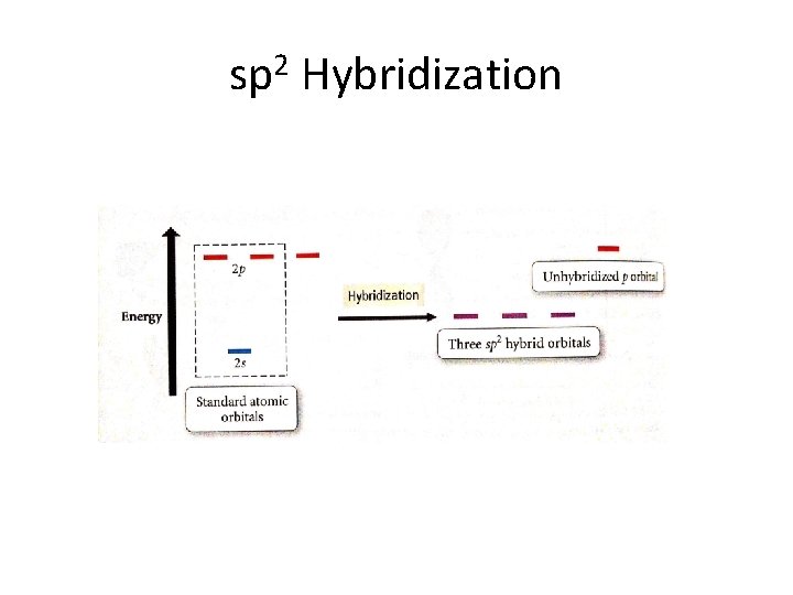 sp 2 Hybridization 