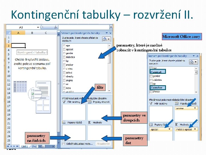 Kontingenční tabulky – rozvržení II. Microsoft Office 2007 parametry, které je možné zobrazit v