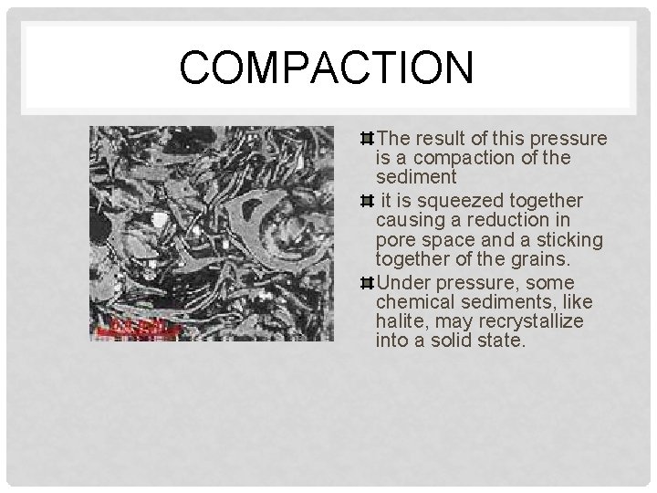 COMPACTION The result of this pressure is a compaction of the sediment it is