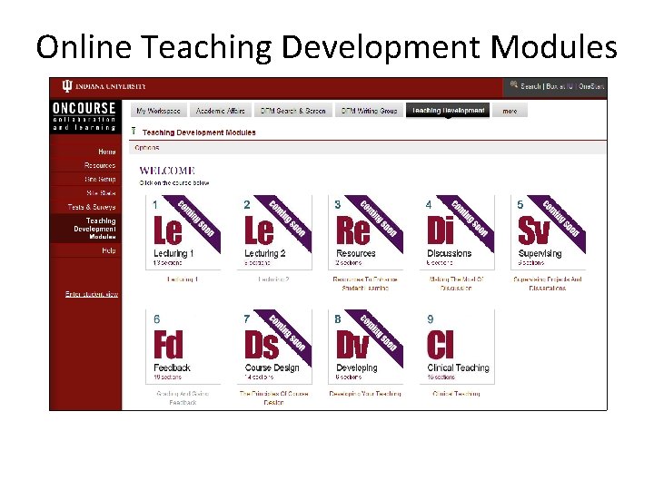 Online Teaching Development Modules 
