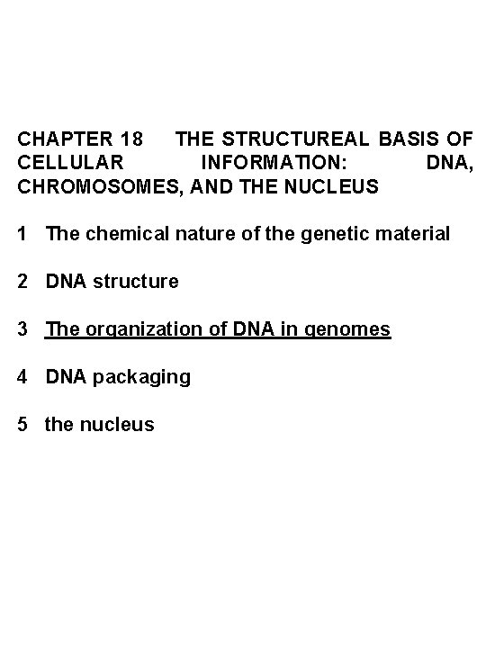 CHAPTER 18 THE STRUCTUREAL BASIS OF CELLULAR INFORMATION: DNA, CHROMOSOMES, AND THE NUCLEUS 1