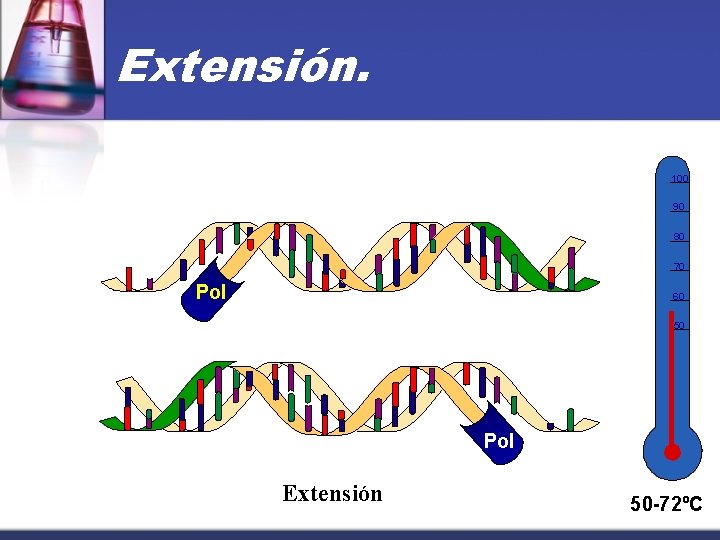 Extensión. 100 90 80 70 Pol 60 50 Pol Extensión 50 -72ºC 