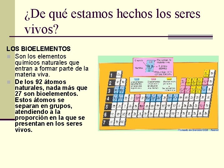 ¿De qué estamos hechos los seres vivos? LOS BIOELEMENTOS n Son los elementos químicos