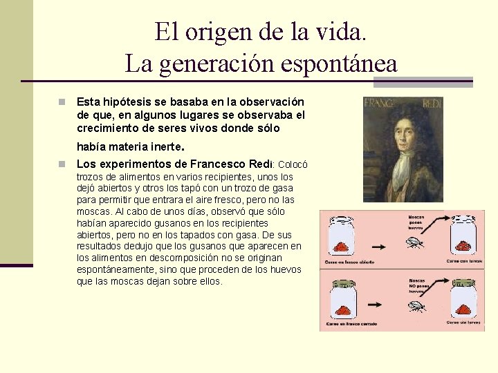 El origen de la vida. La generación espontánea n Esta hipótesis se basaba en