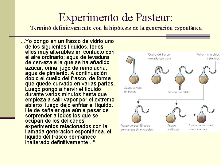 Experimento de Pasteur: Terminó definitivamente con la hipótesis de la generación espontánea ". .