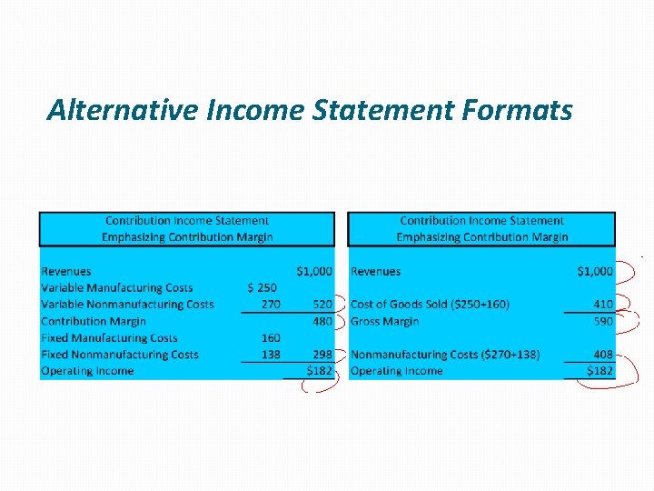 Alternative Income Statement Formats 