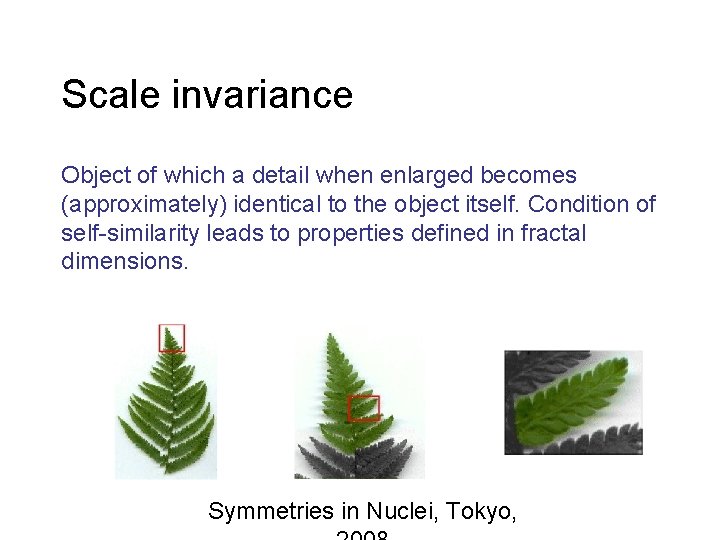 Scale invariance Object of which a detail when enlarged becomes (approximately) identical to the