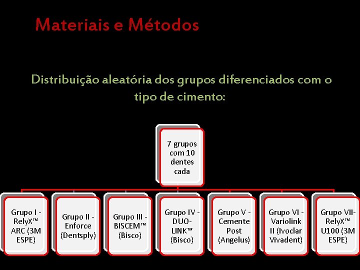 Materiais e Métodos Distribuição aleatória dos grupos diferenciados com o tipo de cimento: 7