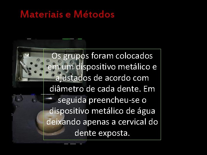 Materiais e Métodos Os grupos foram colocados em um dispositivo metálico e ajustados de