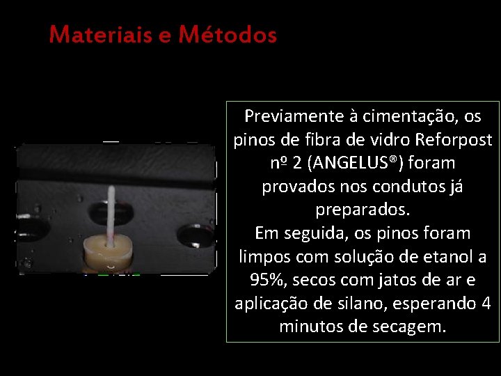 Materiais e Métodos Previamente à cimentação, os pinos de fibra de vidro Reforpost nº