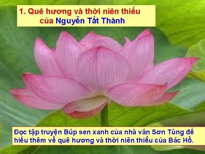 1. Quê hương và thời niên thiếu của Nguyễn Tất Thành Đọc tập truyện