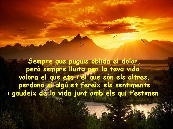 Sempre que puguis oblida el dolor, però sempre lluita per la teva vida, valora