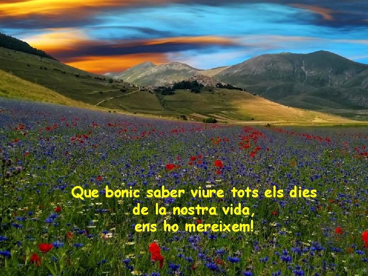 Que bonic saber viure tots els dies de la nostra vida, ens ho mereixem!