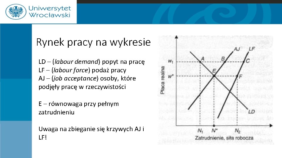 Rynek pracy na wykresie LD – (labour demand) popyt na pracę LF – (labour