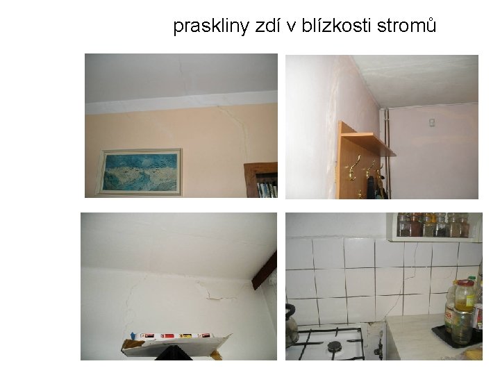 praskliny zdí v blízkosti stromů 