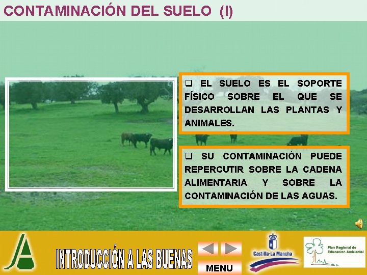 CONTAMINACIÓN DEL SUELO (I) q EL SUELO ES EL SOPORTE FÍSICO SOBRE EL QUE