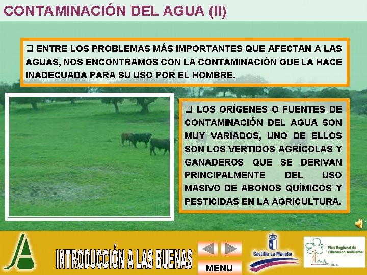 CONTAMINACIÓN DEL AGUA (II) q ENTRE LOS PROBLEMAS MÁS IMPORTANTES QUE AFECTAN A LAS