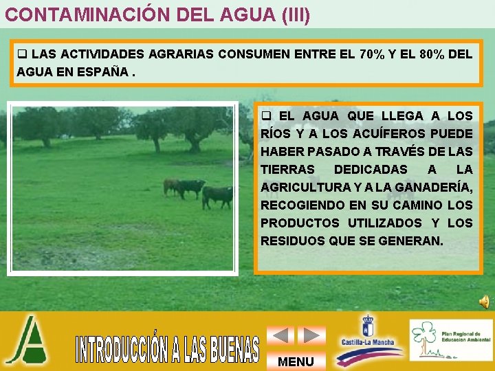 CONTAMINACIÓN DEL AGUA (III) q LAS ACTIVIDADES AGRARIAS CONSUMEN ENTRE EL 70% Y EL