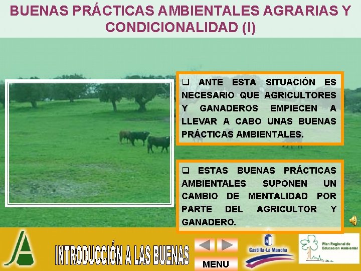 BUENAS PRÁCTICAS AMBIENTALES AGRARIAS Y CONDICIONALIDAD (I) q ANTE ESTA SITUACIÓN ES NECESARIO QUE