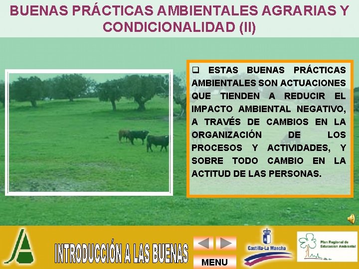 BUENAS PRÁCTICAS AMBIENTALES AGRARIAS Y CONDICIONALIDAD (II) q ESTAS BUENAS PRÁCTICAS AMBIENTALES SON ACTUACIONES