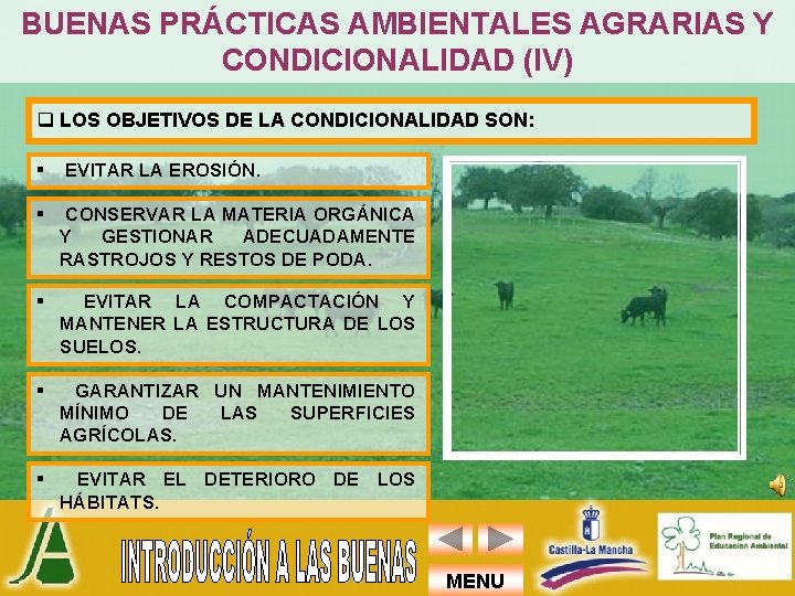 BUENAS PRÁCTICAS AMBIENTALES AGRARIAS Y CONDICIONALIDAD (IV) q LOS OBJETIVOS DE LA CONDICIONALIDAD SON: