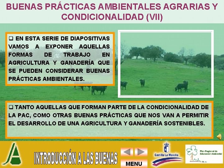 BUENAS PRÁCTICAS AMBIENTALES AGRARIAS Y CONDICIONALIDAD (VII) q EN ESTA SERIE DE DIAPOSITIVAS VAMOS