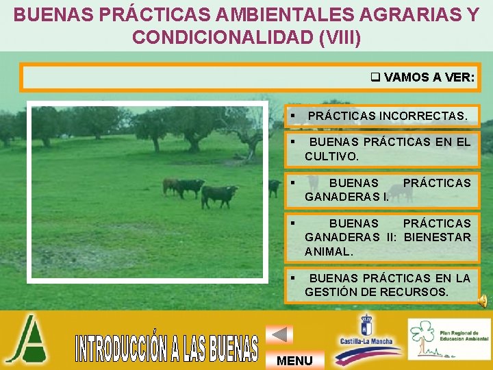 BUENAS PRÁCTICAS AMBIENTALES AGRARIAS Y CONDICIONALIDAD (VIII) q VAMOS A VER: § PRÁCTICAS INCORRECTAS.