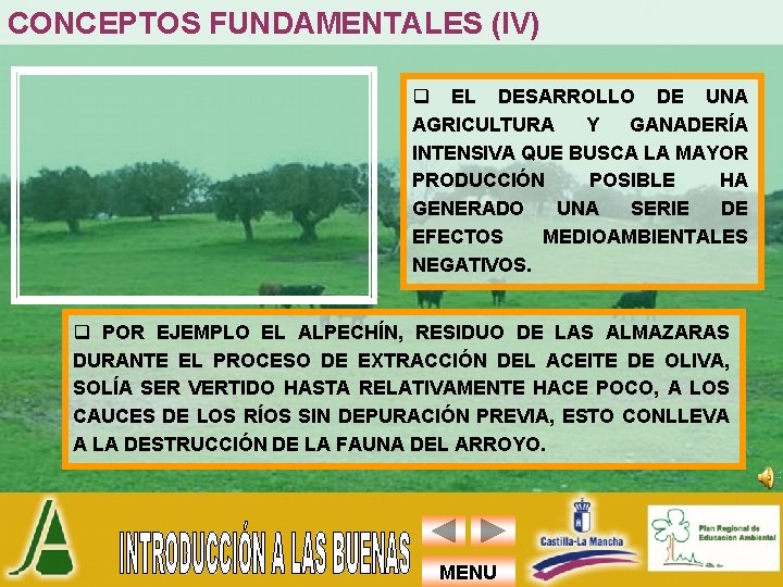 CONCEPTOS FUNDAMENTALES (IV) q EL DESARROLLO DE UNA AGRICULTURA Y GANADERÍA INTENSIVA QUE BUSCA